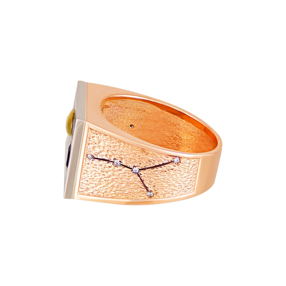 Печатка "Зодіак" - Зображення 5